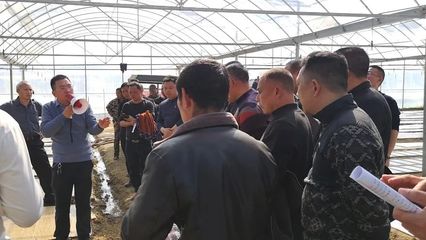 “DMC”技術(shù)在平江首次亮相 開啟技術(shù)推廣服務(wù)新篇章