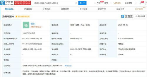 吉利關聯企業再布局新能源賽道，新公司經營范圍涵蓋技術推廣服務