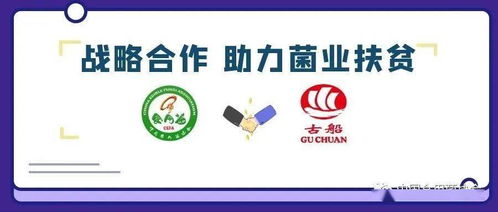 攜手古船米業(yè)，共筑貧困地區(qū)食用菌銷售與商品房代購代銷新篇章